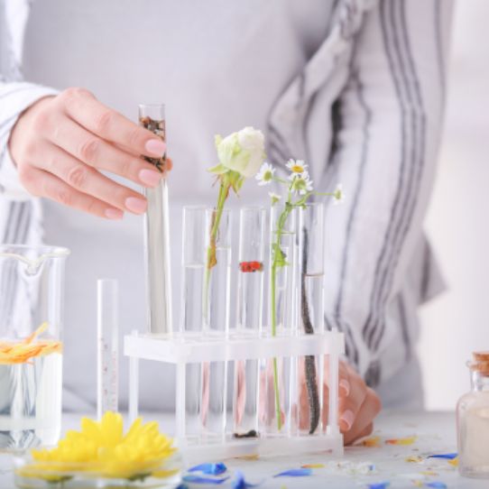 Perfume Making Course